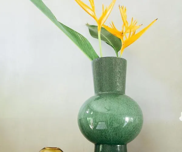 Hotel Mother Earth Luxury Boutique Hotel, Restaurant & (adults Only) Tamarindo