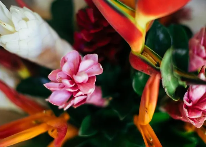 Hotel Mother Earth Luxury Boutique Hotel, Restaurant & (adults Only) *